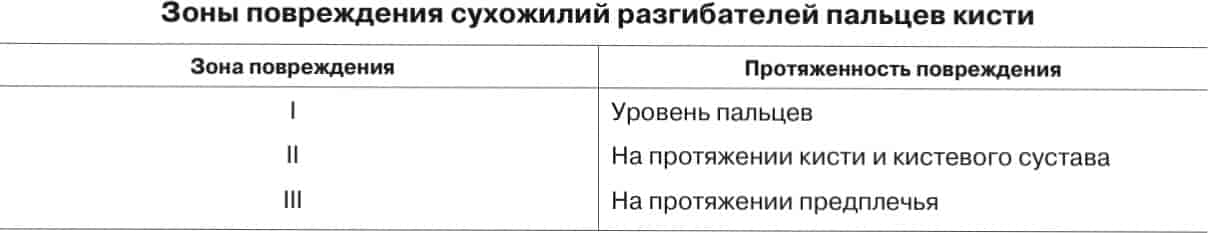 Зоны повреждения сухожилий разгибателей